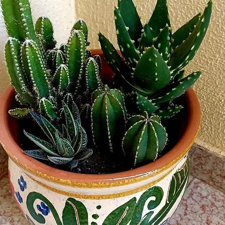 Casa Milo Playa Locos Torrevieja