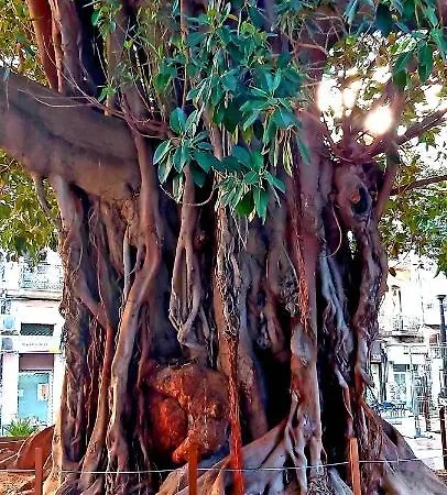 Casa Milo Playa Locos Apartamento