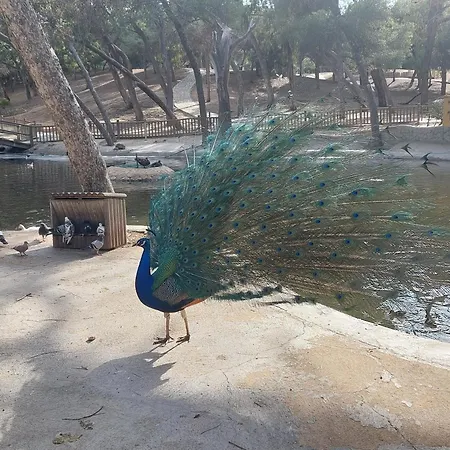 Apartamento Casa Milo Playa Locos *