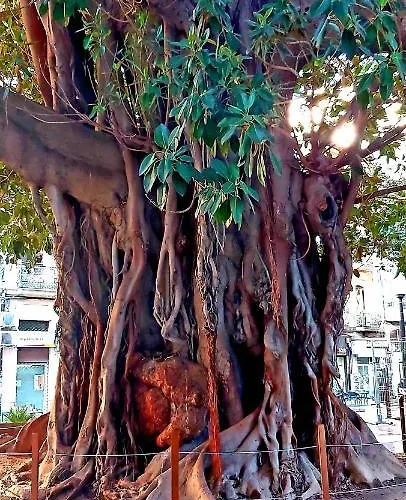 Casa Milo Playa Locos Apartman