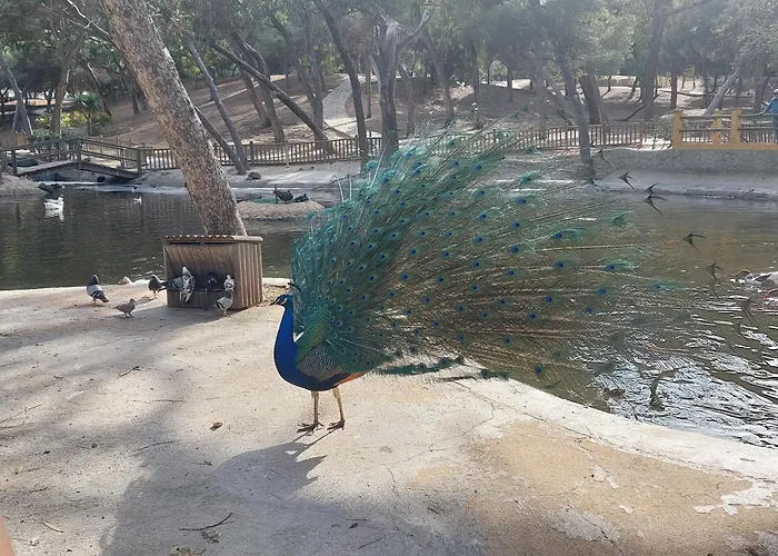 Apartman Casa Milo Playa Locos *