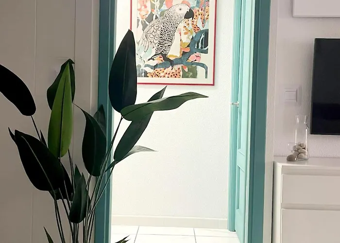 Apartman Casa Milo Playa Locos Torrevieja